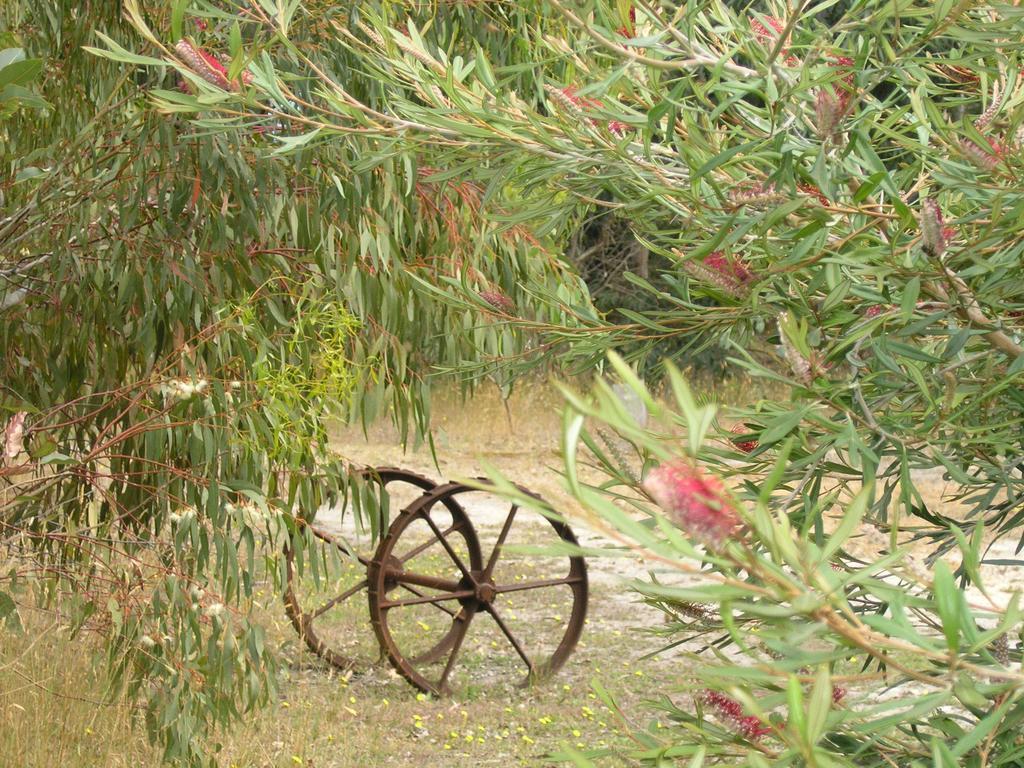 Ellensbrook Cottages Cowaramup Zewnętrze zdjęcie